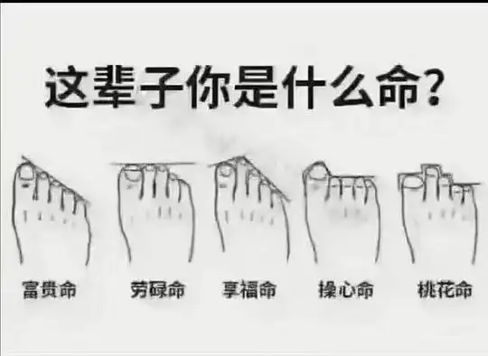 清风徐来的相册脚型看命运