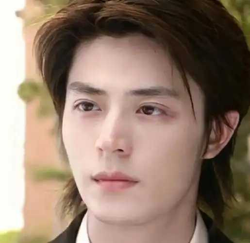 年轻时期的霍建华