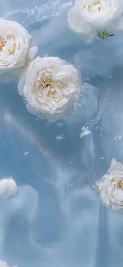 超级适合夏天的手机壁纸,太清爽了