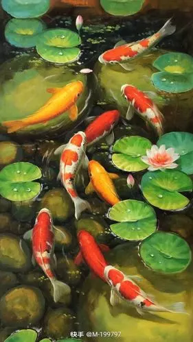 富贵有余九鱼 - 堆糖,美图壁纸兴趣社区