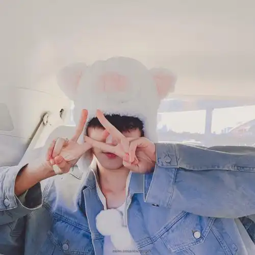 周柯宇小猪帽子车内随拍头像 壁纸_腾讯新闻