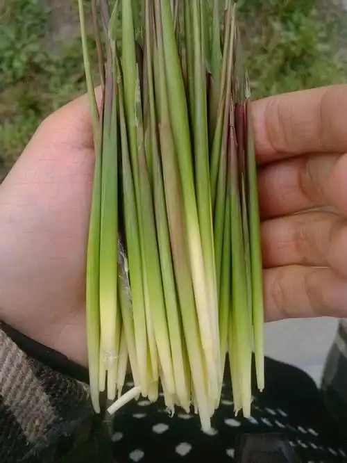 满满的都是回忆8090后农村孩子的童年图