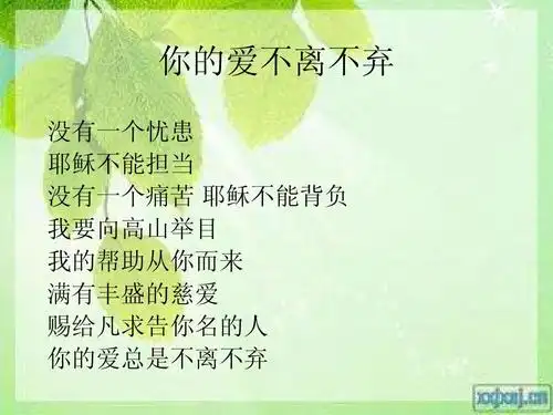 你的爱不离不弃