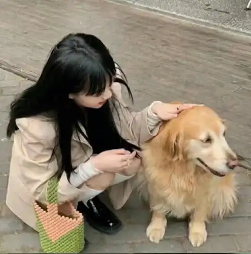 对象不是人系列情头