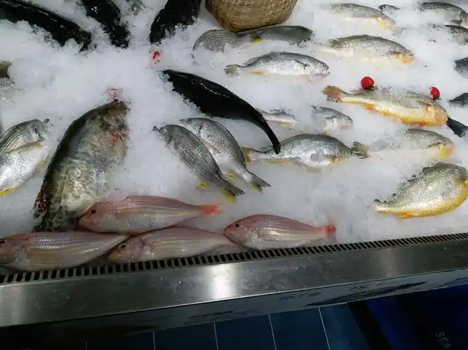 冰鲜鱼台面摆放不合格金线鱼朝向