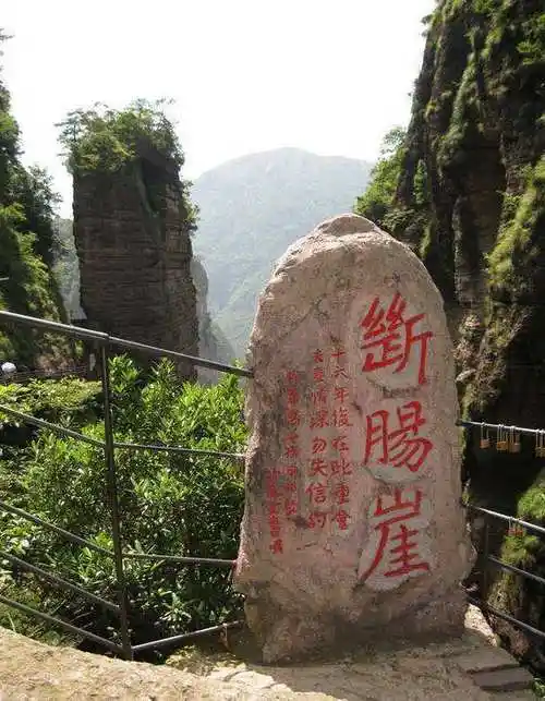 3,断肠崖绝情谷是《神雕侠侣》中最让人印象深刻的地方之一.