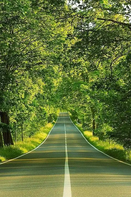 绿景|插画|新锐潮流插画|梦幻紫汐59540 - 原创作品 - 站酷 (zcool)