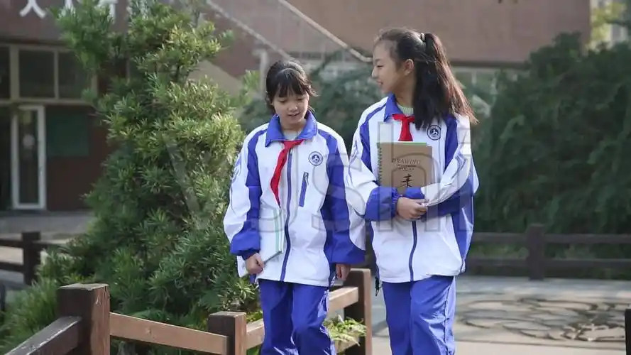 校园生活,学生户外看书