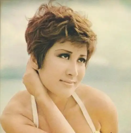 曾经因为李小龙去世而退出影视圈的丁佩年轻时候到底有多漂亮