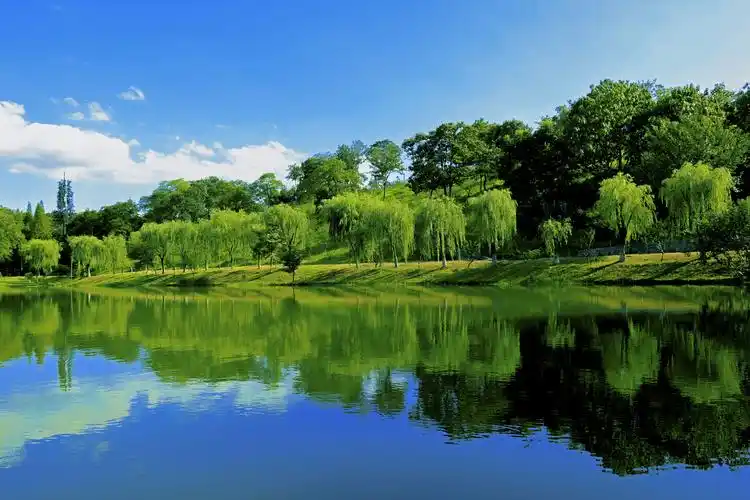 宜兴龙背山森林公园