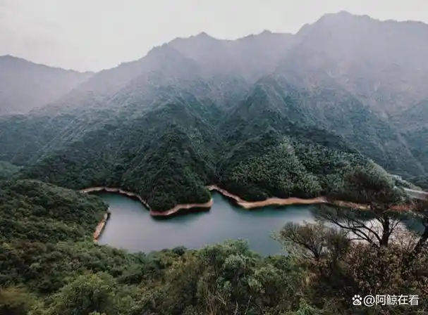 大觉山风景区,一个自然与文化交织的迷人之地,每年吸引着成千上万的