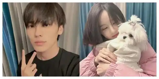 毕雯珺李一桐绯闻升级同款圣诞树窗帘地板引猜测