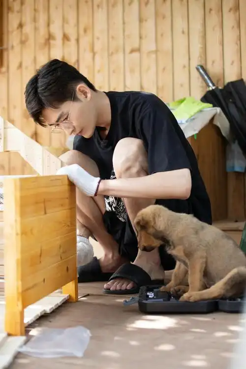 张翰花儿与少年