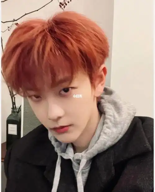 男生显白发色,不用漂的脏橘色大连男士发型