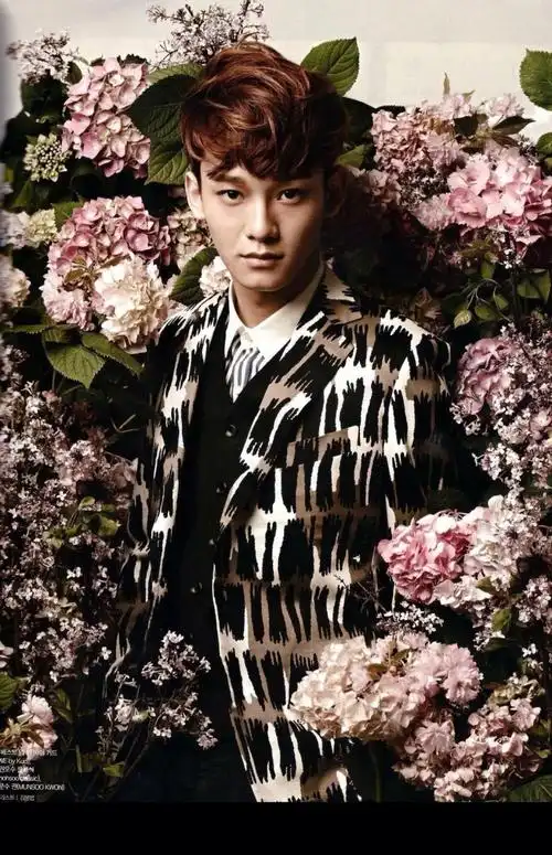 p>金钟大,艺名chen,1992年9月21日出生于韩国京畿道始兴市,韩国男