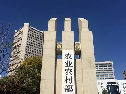 农业农村部:我国非洲猪瘟疫情呈点状发生总体可控