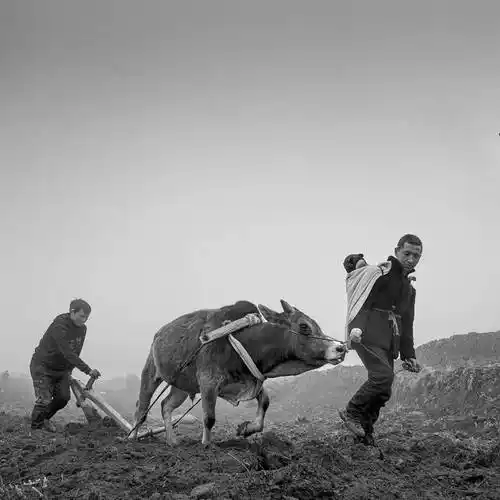 大凉山彝家娃娃"阿依美格节"非遗民俗纪实摄影独家_西