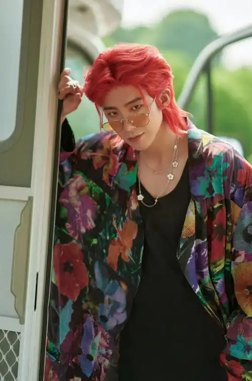 刘宇宁两年前的红发造型