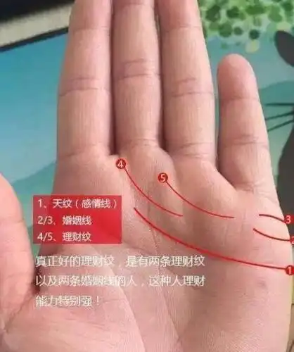 此种手相的男人,具有理财的脑子,年入百万不是梦