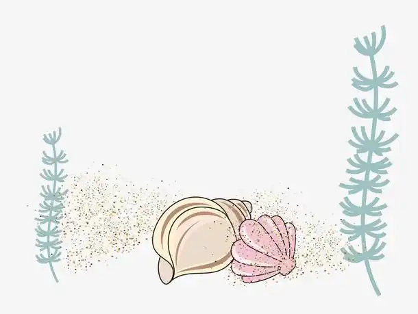 卡通海底海螺贝壳矢量图