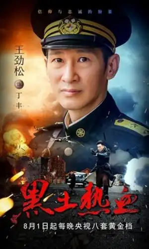 王劲松黑土热血海报