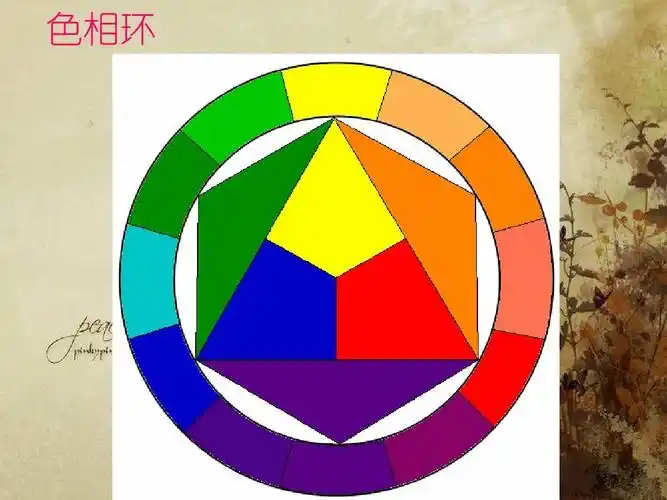 人美版五年级美术下册课件《色彩的对比》ppt课件