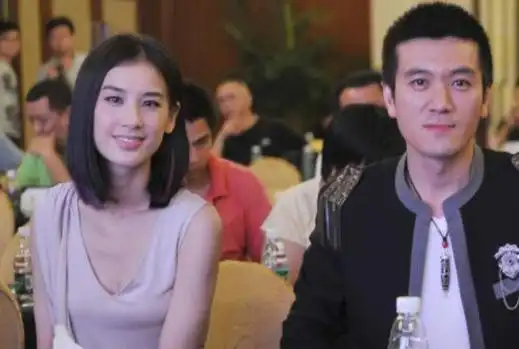 杨子个人资料简介及家世,杨子黄圣依的感情史