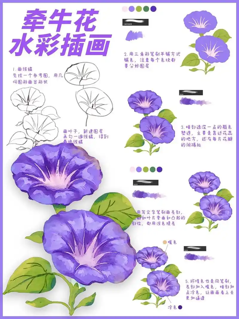 牵牛花水彩插画【步骤解析】喇叭花 1.画线稿,先找一个参考图 - 抖音