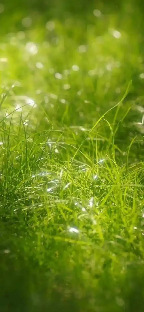 壁纸合集 | 今日份小清新壁纸