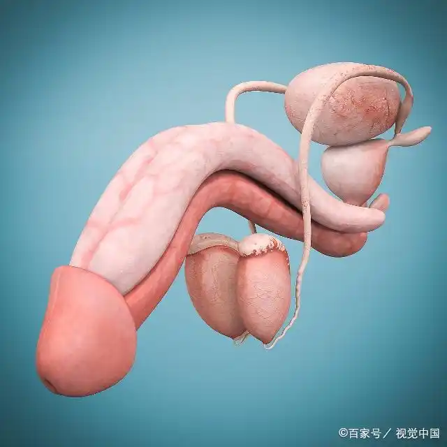 男性朋友们注意了,阴囊潮湿的原因?