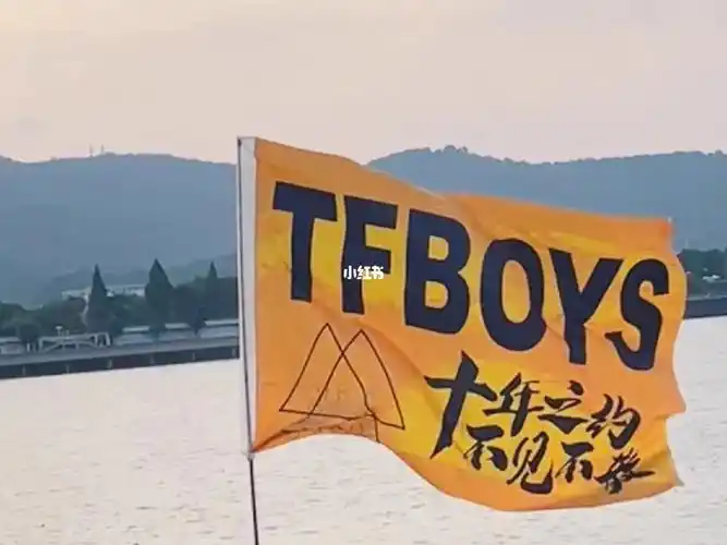 tfboys应援演唱会