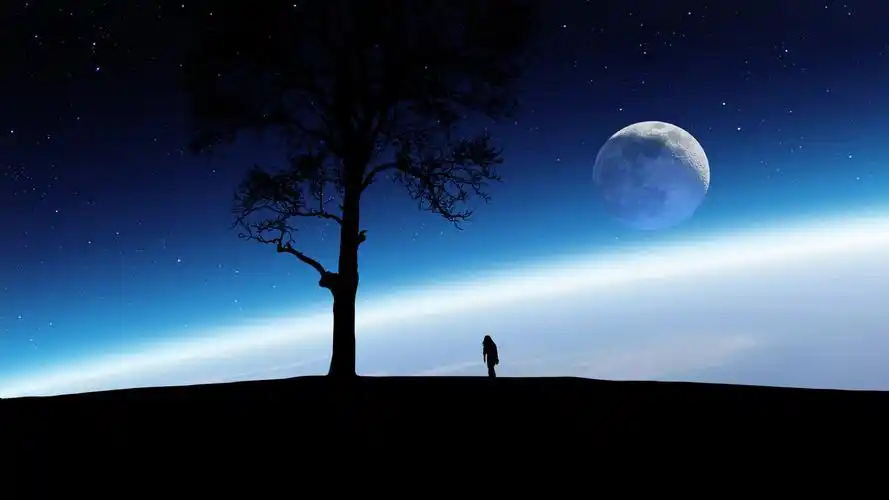唯美星空树下人影桌面壁纸下载