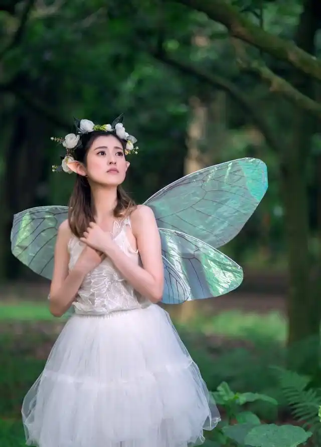 森林中的蝴蝶仙子