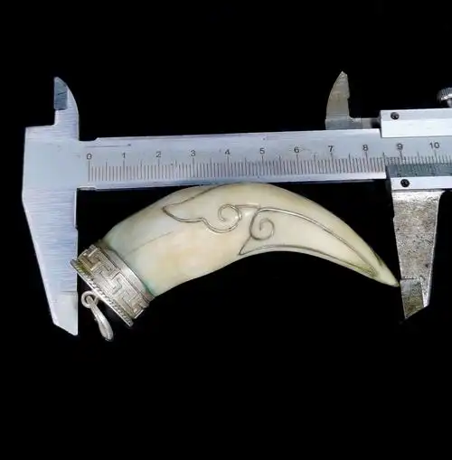 佚名 老虎牙镶银胸坠