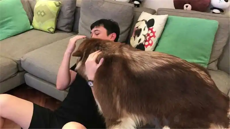 你可能不清楚王思聪有多宠爱王可可,看完这些图后,你会有新的想法