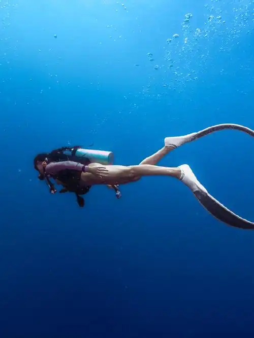 想一辈子都能看到清澈的大海6015前段时间去水肺潜水的图片07