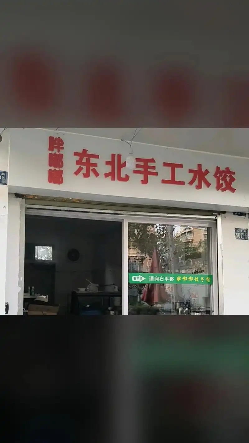 胖嘟嘟东北手工水饺,热卖好货,惊喜看过来,怡然独享时刻 #特 - 抖音