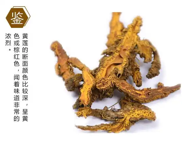 四川黄连片苦黄连鸡爪黄连黄连粉土黄连泡水泡茶精选黄连整个250克