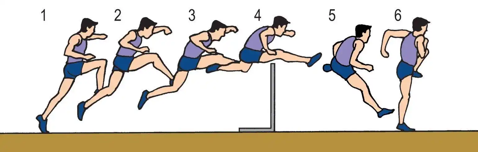 放心,老师给你们准备了跨栏分解动作