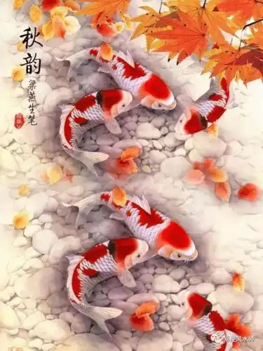 好运鱼图手机壁纸手机壁纸放什么图片最招财