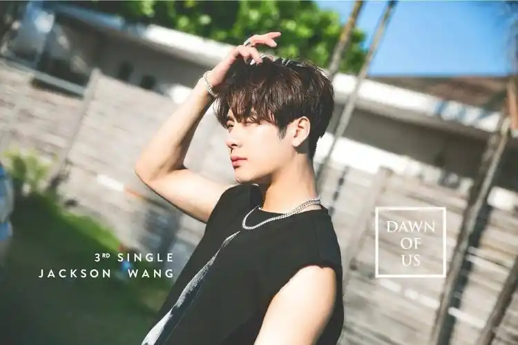 王嘉尔我的所有壁纸都是他,就是喜欢他,以后不会换   显示全部