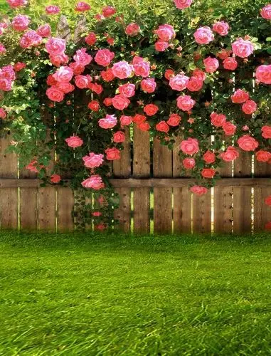 韩宫尚美主题背景纸/摄影背景布/摄影背景/主题背景 自然风景1769