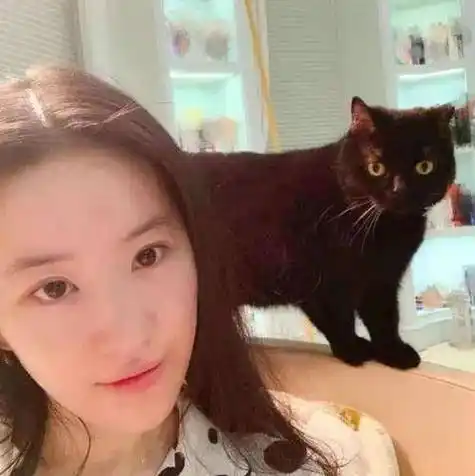 34岁的刘亦菲,出道时间可不短了,这么多年,也仅仅和国外男明星宋承宪