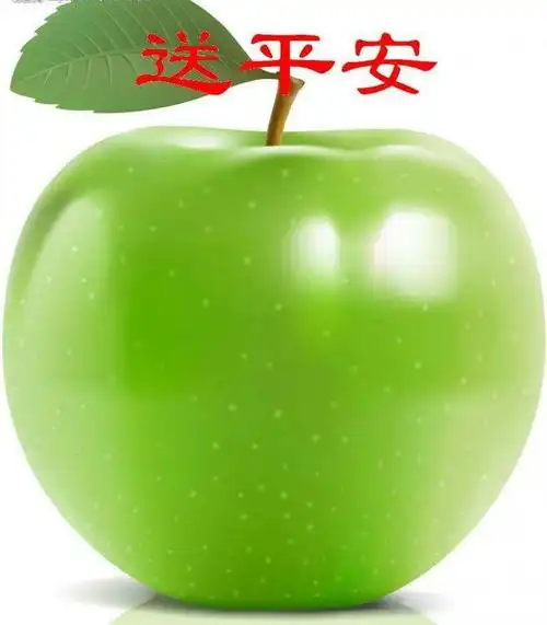 雪花飘飘, 鹿玲敲敲, 浪漫烛光, 颂歌传唱, 平安吉祥, 圣诞快乐!