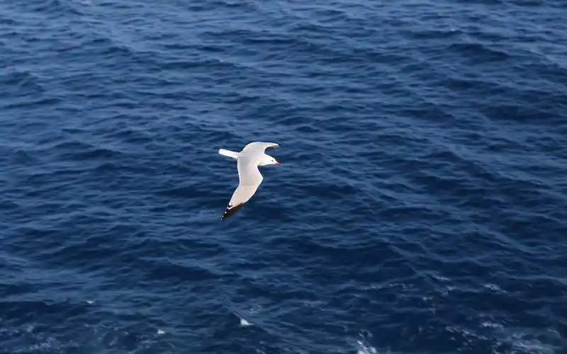 来自微博@ins壁纸辑