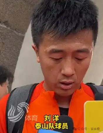 泰山队30载编年史2017