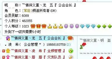 yy最高等级是多少?