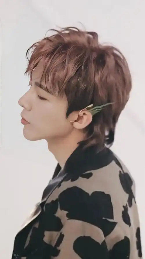 百看不厌@摩登兄弟刘宇宁