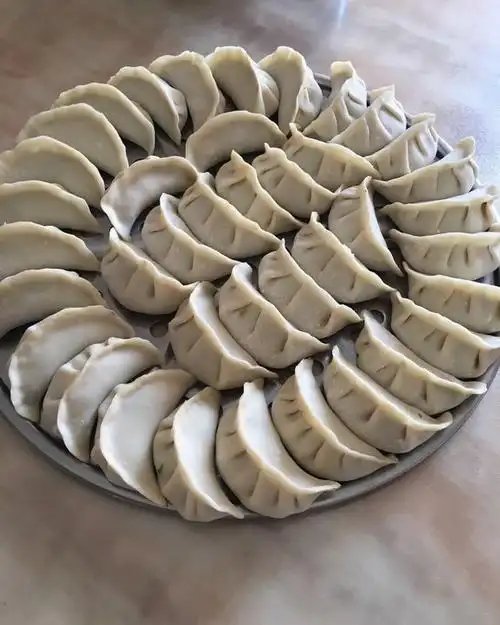 轩鑫妈做的韭菜猪肉饺子(最简单最好吃又最多汁的饺子)