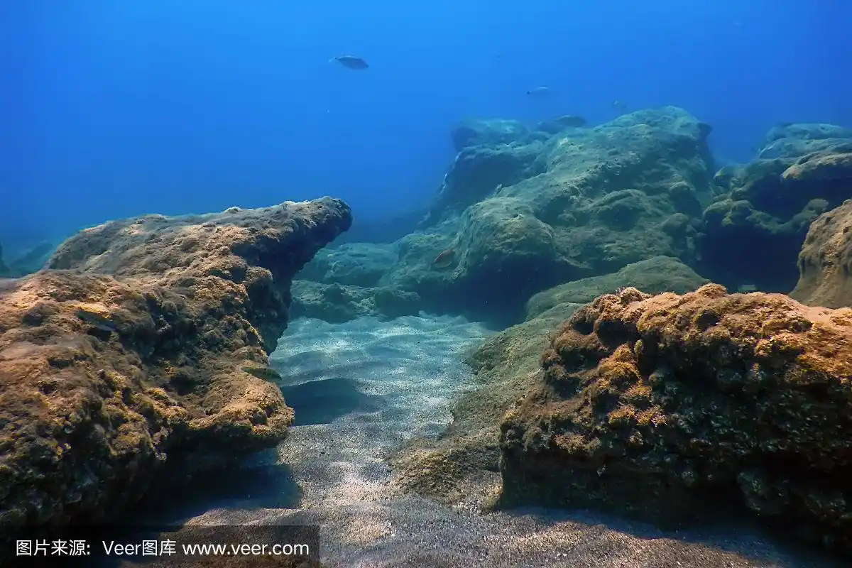 海洋生物水下岩石阳光,水下生命
